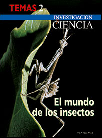 1995 El Mundo De Los Insectos